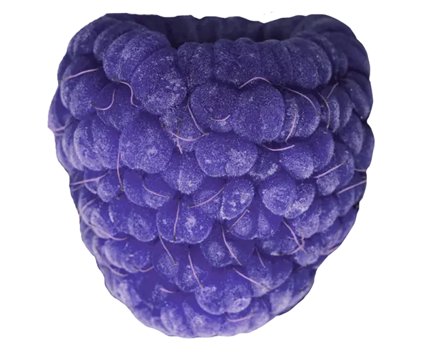 BlueRaspberry